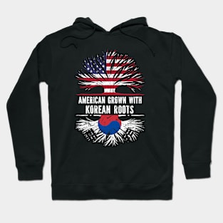 American Grown with Korean Roots USA Flag Hoodie